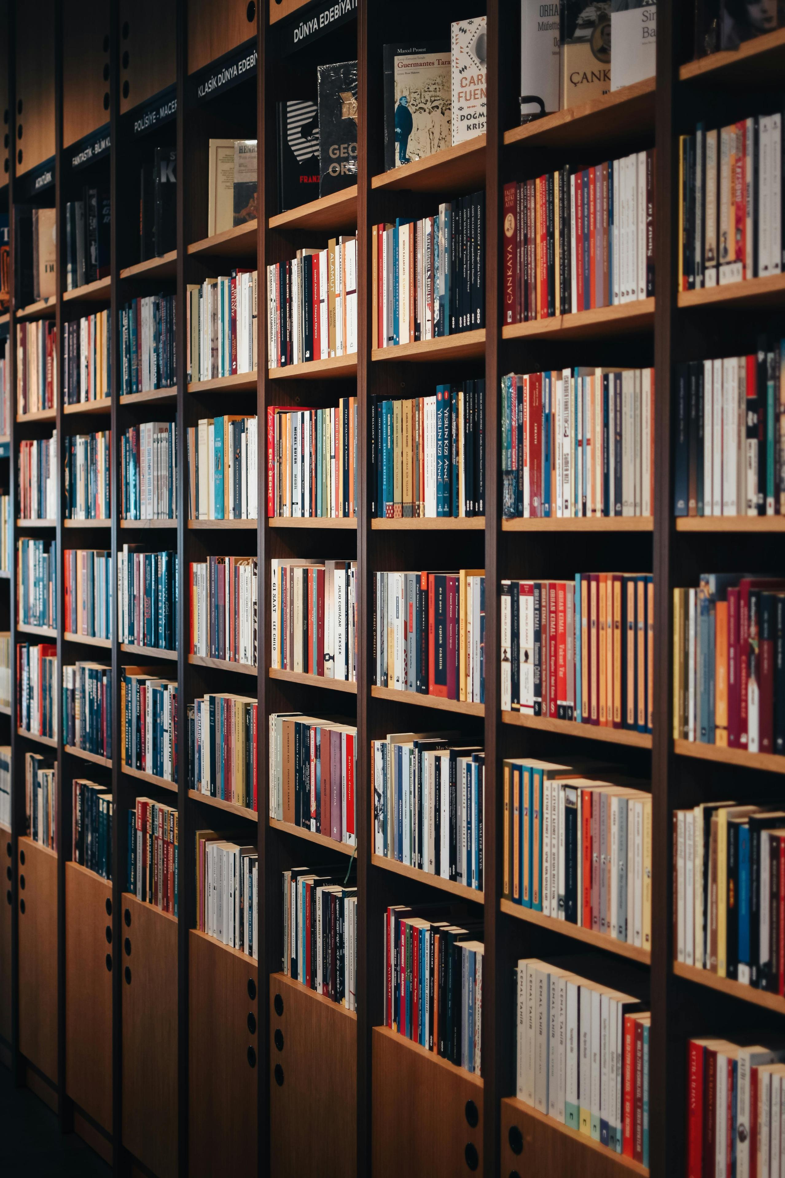 Six horizontal rows of colorful books on display at a library
